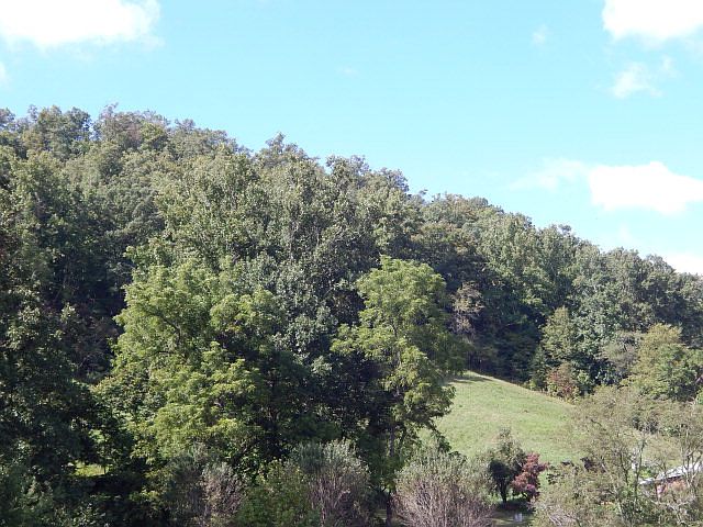 2nd image of 190 E Fork Church Rd