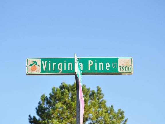 5th image of 7920 Virginia Pine Ct