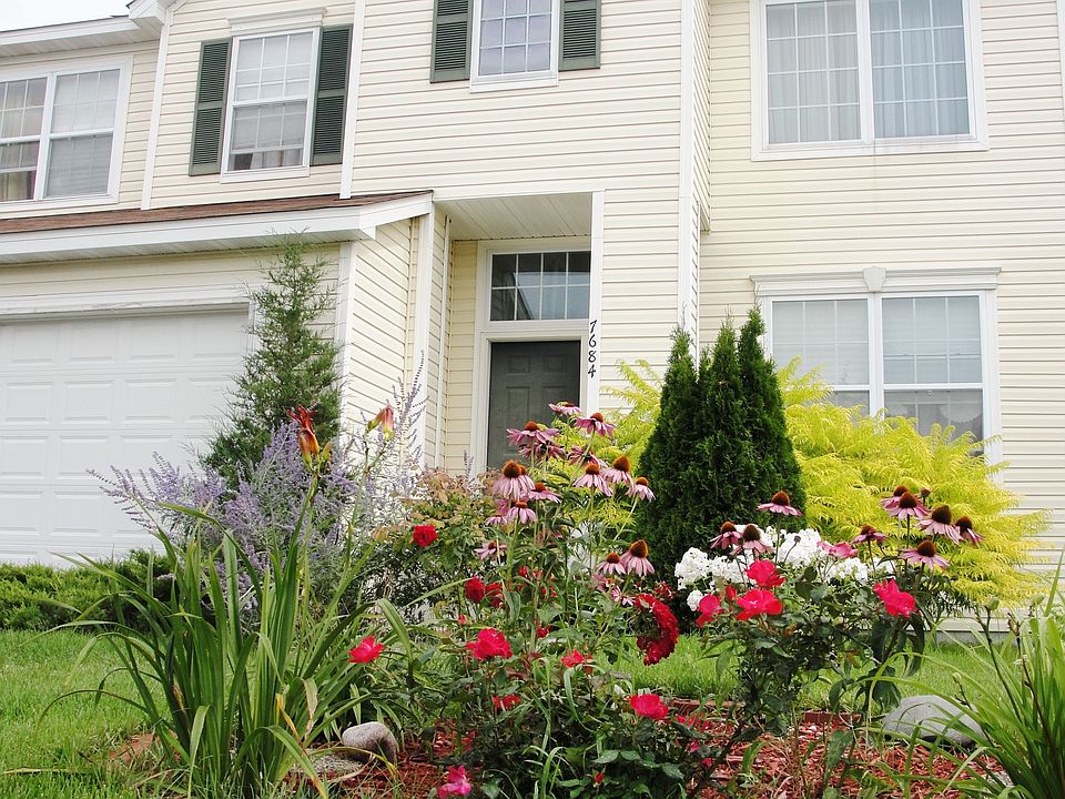 Front look of the house