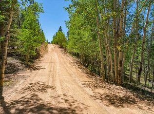 35 Hayes St, Bailey, CO 80421