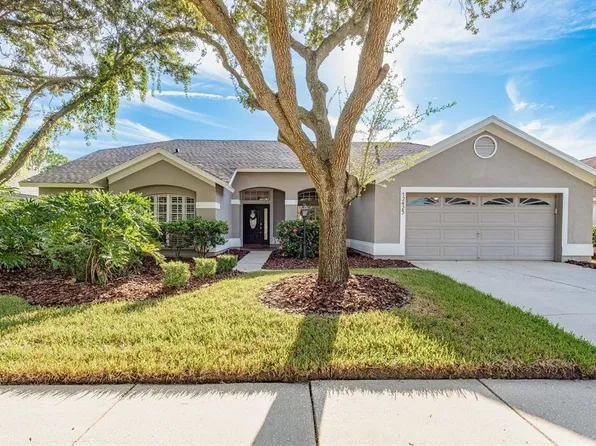 12425 Seabrook Dr, Tampa, FL 33626