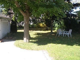 Big backyard