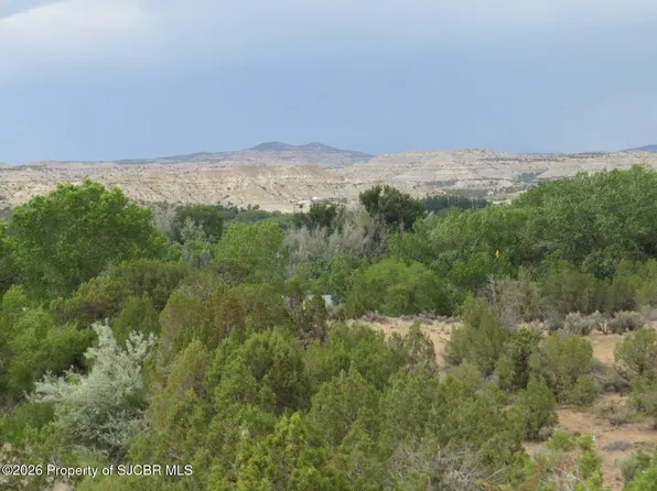 LOT 2A Road 2950, Aztec, NM 87410