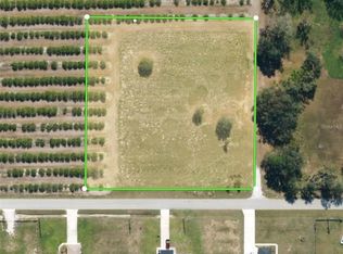 Altman Rd LOT 1, Wauchula, FL 33873