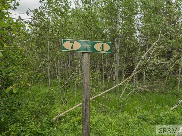 4367 Ridge Crst, Ashton, ID 83420