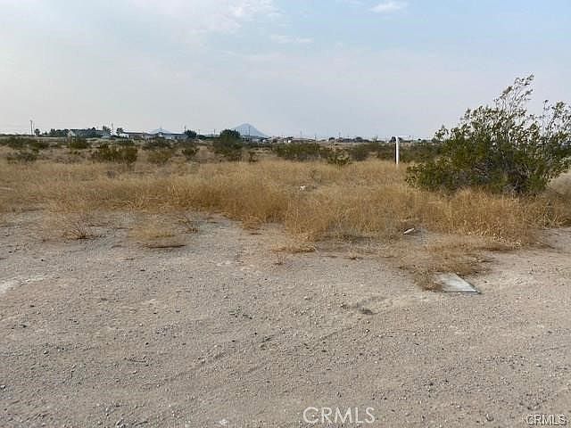 1st image of LOT 576