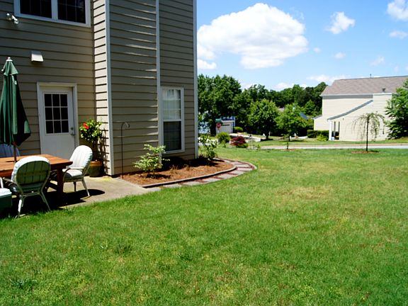 Big Leveled Backyard