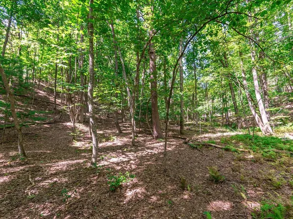 LOT 22 Meadow Brook Trl, Morganton, GA 30560