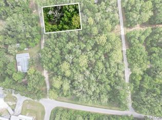751 S Norma Ave, Inverness, FL 34453