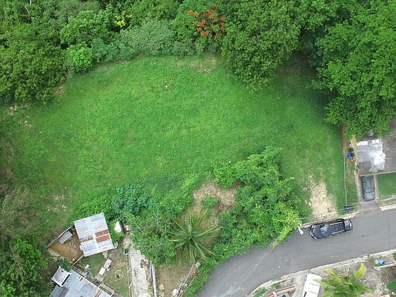2nd image of 5 Bo Guaniquilla
