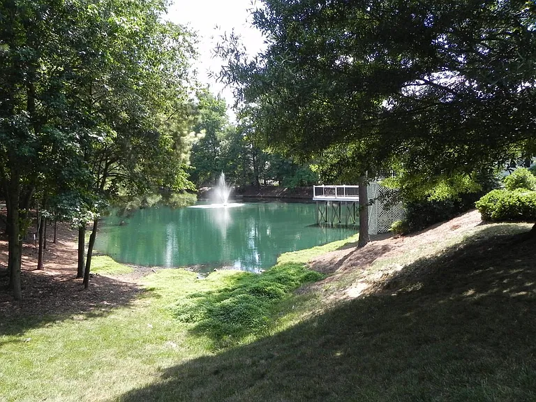 207 Cove Creek Dr — Photo 21