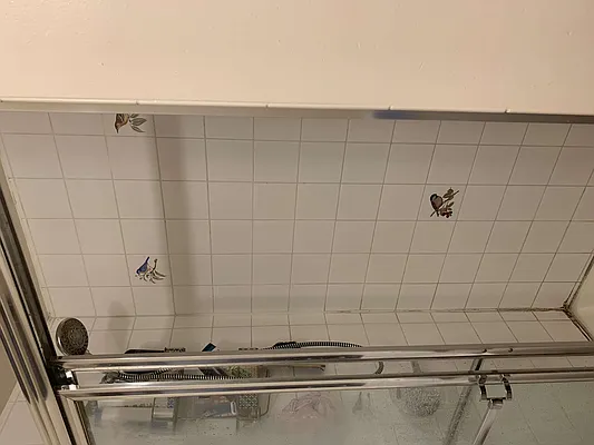 Rented by Prime Rok Real Estate LLC | media 19