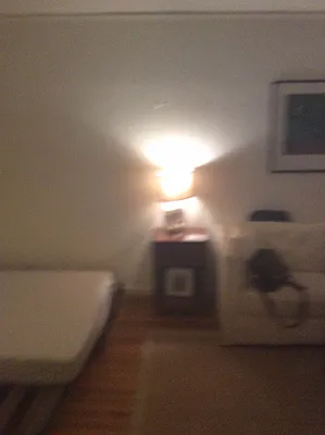 Rented by J. Brett Realty | media 28