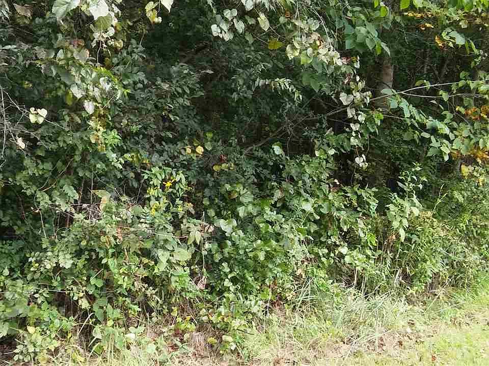 2nd image of 12642 Hampton Rd
