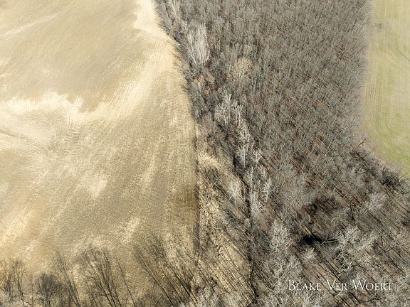 5th image of W Weston Rd