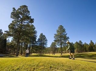 11 Aspen Dr, Rociada, NM 87742