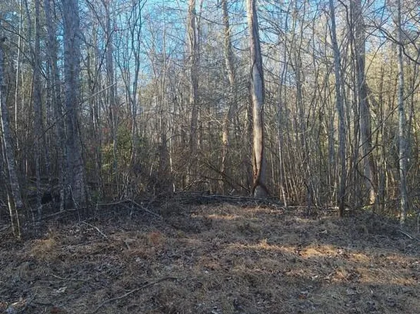 Lots Mill Creek Acres, Blue Ridge, GA 30513