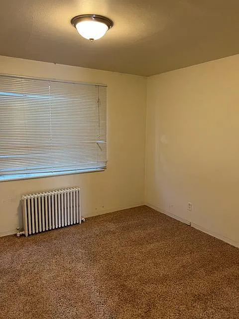 1 bed, $800 — Photo 4