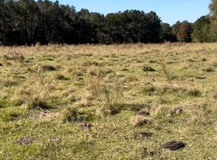 1105 Chapman Rd, Utica, MS 39175