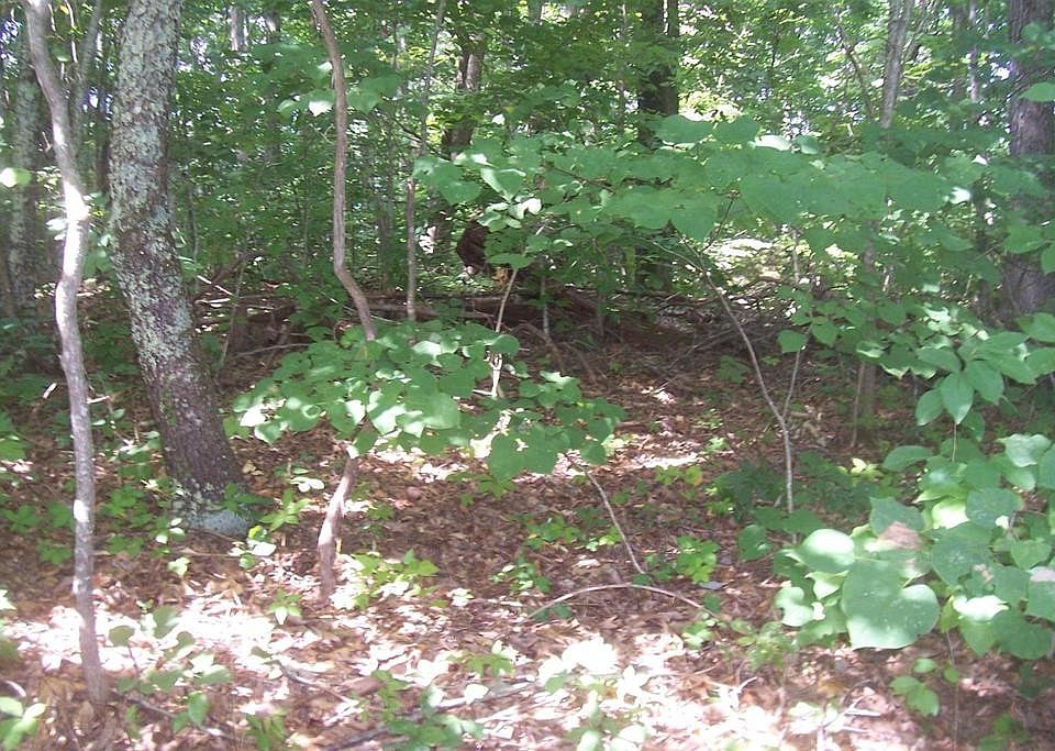 1st image of 78 Muscadine Ct Lot 78