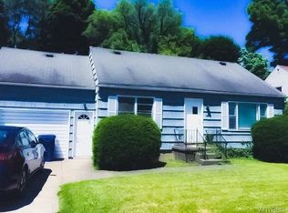 58 Springville Ave, Amherst, NY 14226