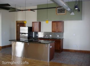 218 E Walnut St APT 405, Springfield, MO 65806