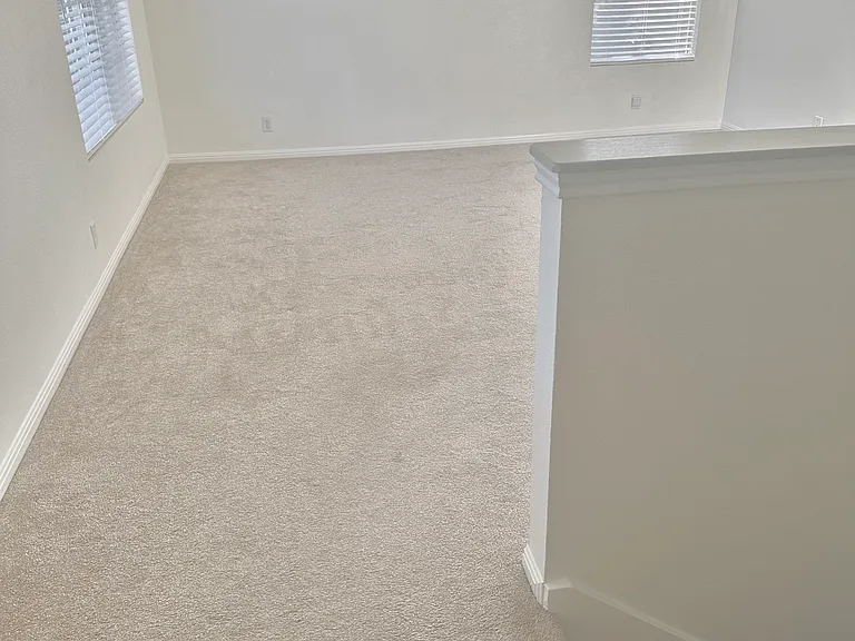 4704 Lake Champlain Ln — Photo 15