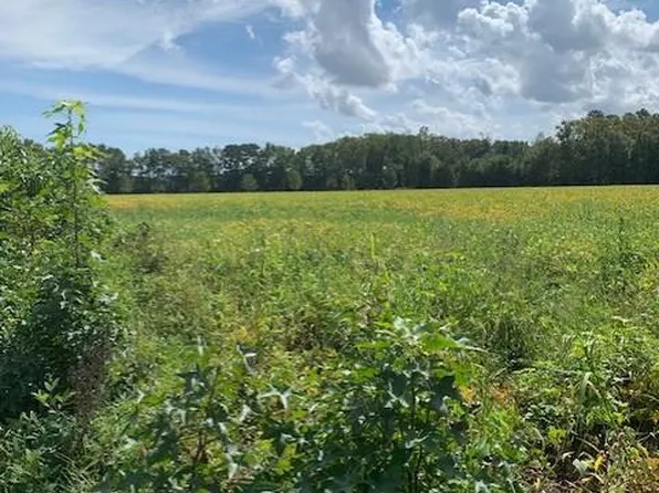 10 Fentress Airfield Rd, Chesapeake, VA 23322
