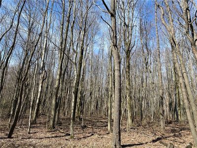 0 Armel Hollow Rd, Latrobe, PA, 15650