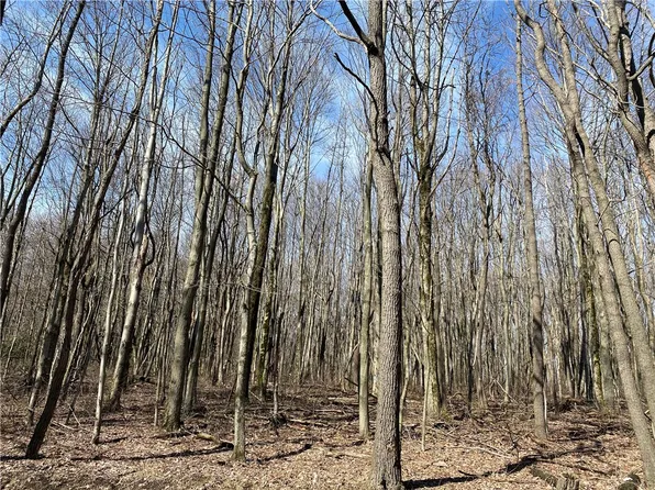 0 Armel Hollow Rd, Latrobe, PA 15650
