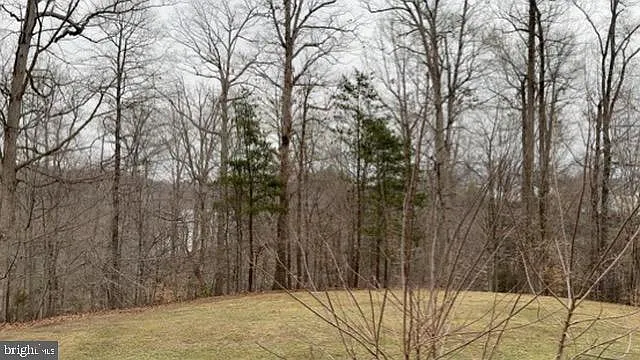 11593 Nellings Pl — Photo 20