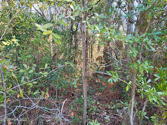 3rd image of 2836 Shell Landing Road SW