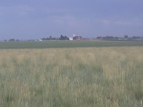 2nd image of 1 CR 35