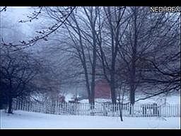 2nd image of 8473 Wooster Pike