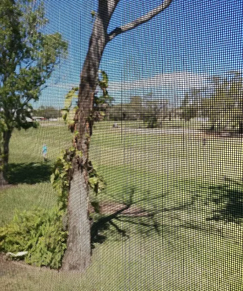 55 Country Club Dr #55 — Photo 5
