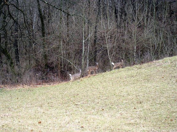 3rd image of 3390 Hickory Creek Dr