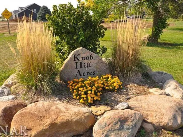 14703 Rhea Dr, Heyworth, IL 61745