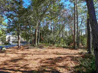42 Natures View Cir #TOWNHOUSE E, Pawleys Island, SC 29585