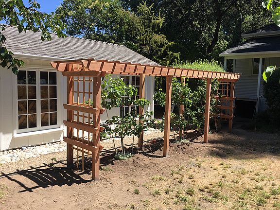 Pear trellis separates the yards by entry path.