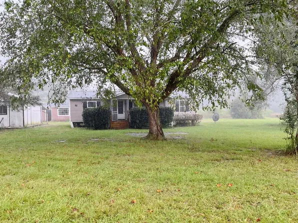 61 Amber Dr, Ray City, GA 31645