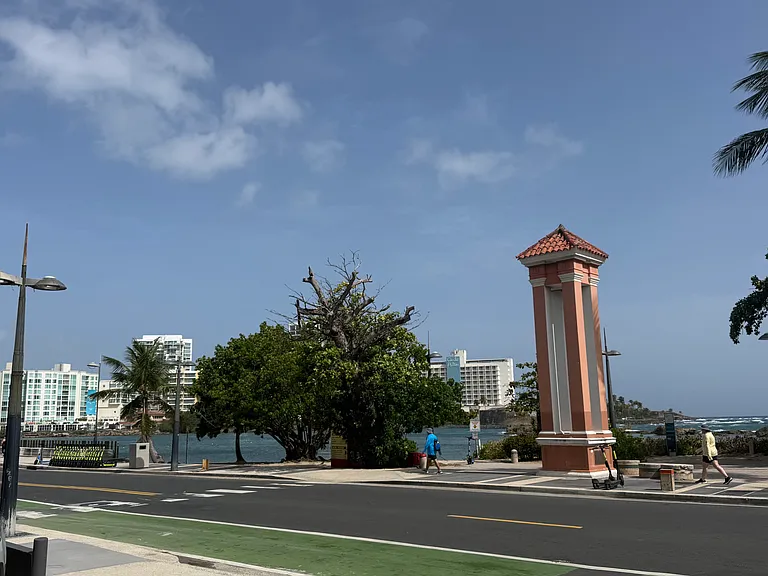 864 Ashford — Photo 10