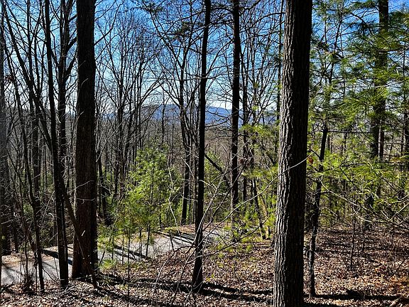 2nd image of 107/125 Chestnut Mountain Rd