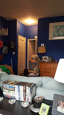 Rented by Eric Goodman Realty Corp | media 15