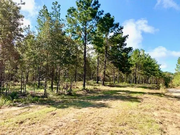 383/AC County Road 2310, Woodville, TX 75979