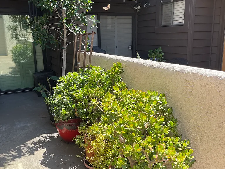 15050 Sherman Way #162 — Photo 25