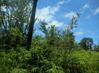 Railroad Ave, Keaau, HI 96749