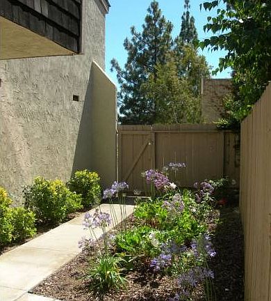 Easy care landscaping