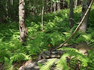 Dryden Rd, Dryden, NY 13856