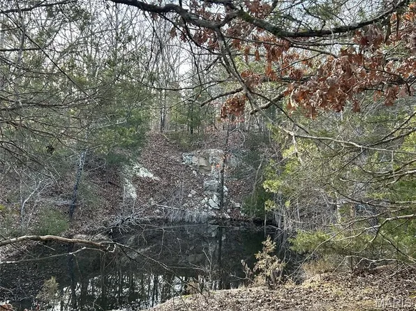 LOT 11 Danz Forest Dr, Rosebud, MO 63091