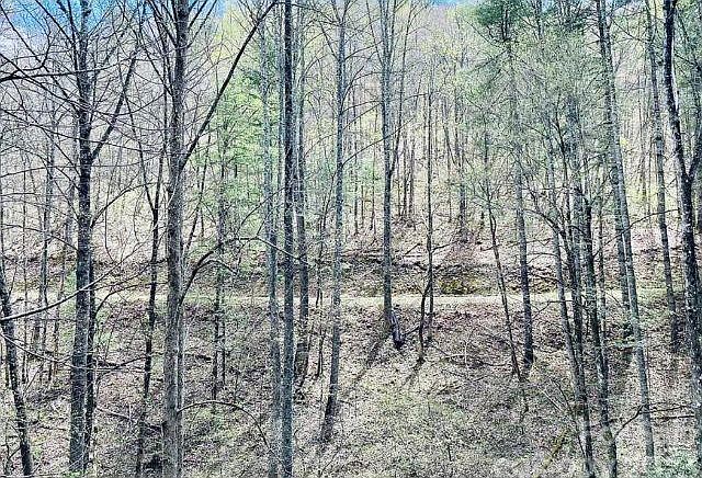 1st image of 40 Enchanted Forest Dr